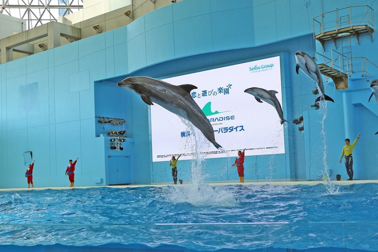 Yokohama Hakkeijima Sea Paradise Ticket - image 12